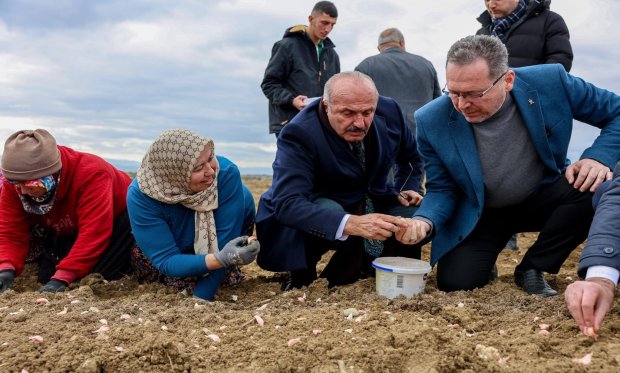 ÇETMİ KÖYÜ SARIMSAK DİKİMİ